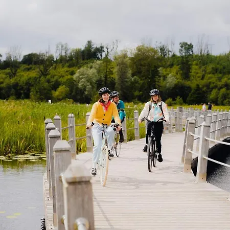 The Koze * County Leitrim