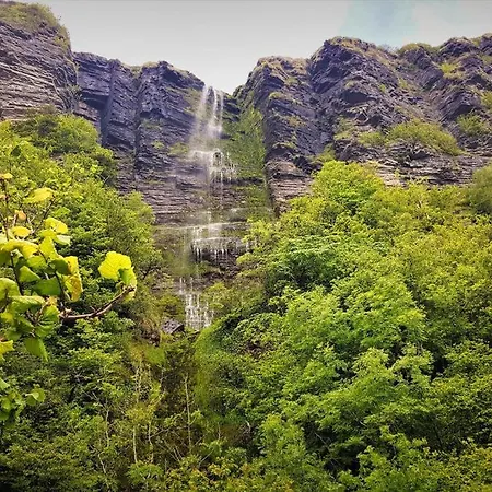 The Koze County Leitrim