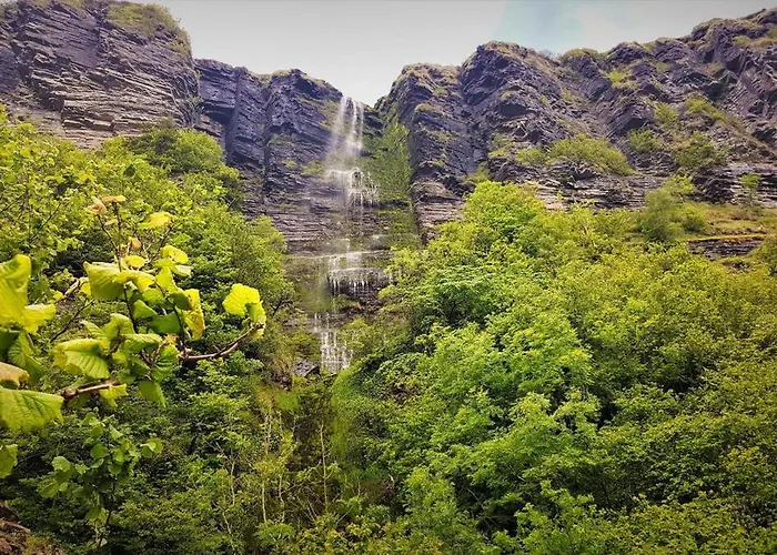 The Koze County Leitrim